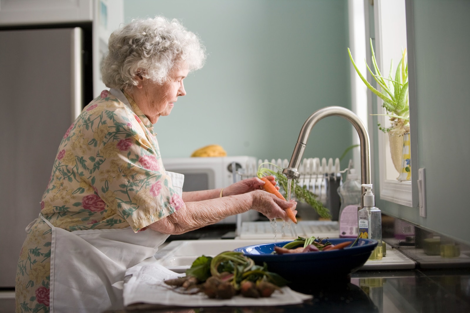How to Qualify for Free Home Care Services in North Carolina